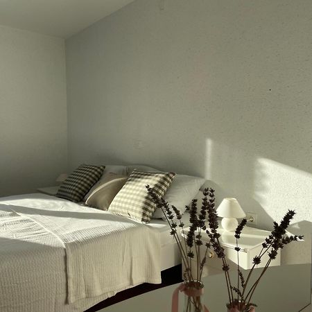Beautiful house surrounded by pure nature Rogašovci Extérieur photo