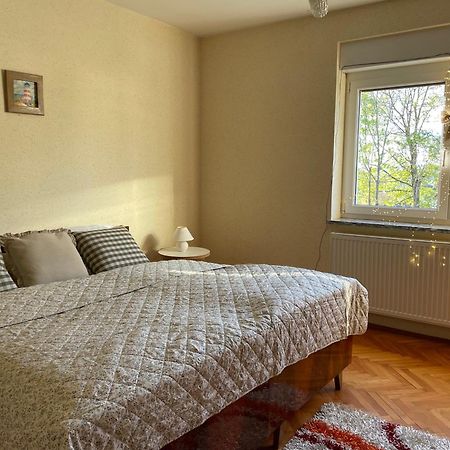Beautiful house surrounded by pure nature Rogašovci Extérieur photo