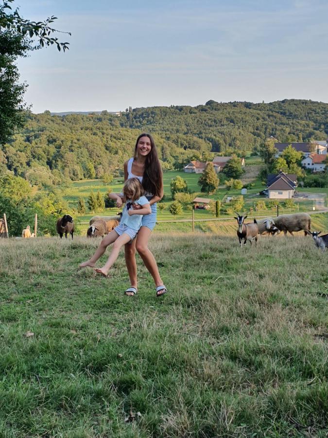 Beautiful house surrounded by pure nature Rogašovci Extérieur photo