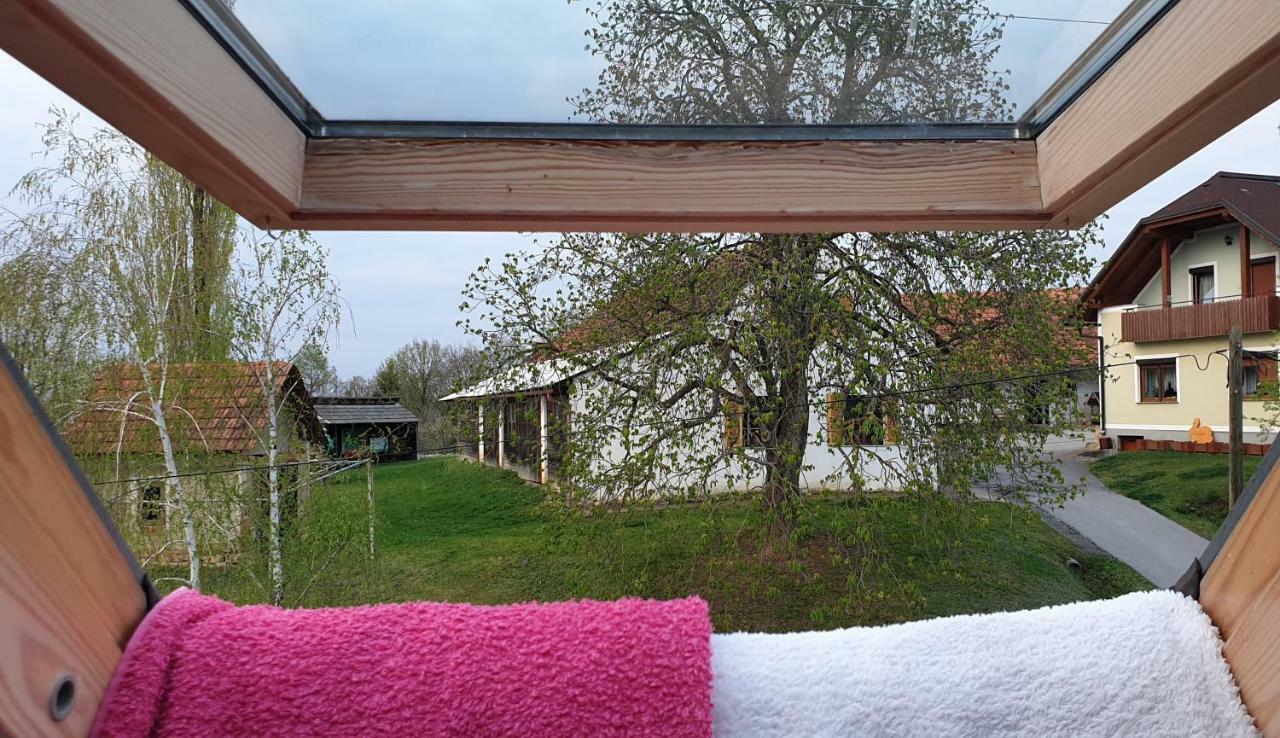 Beautiful house surrounded by pure nature Rogašovci Extérieur photo